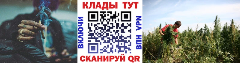 Что такое Тогучин Каннабис  СК  ГАШИШ 