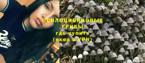 jwh Белокуриха