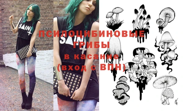 jwh Белокуриха